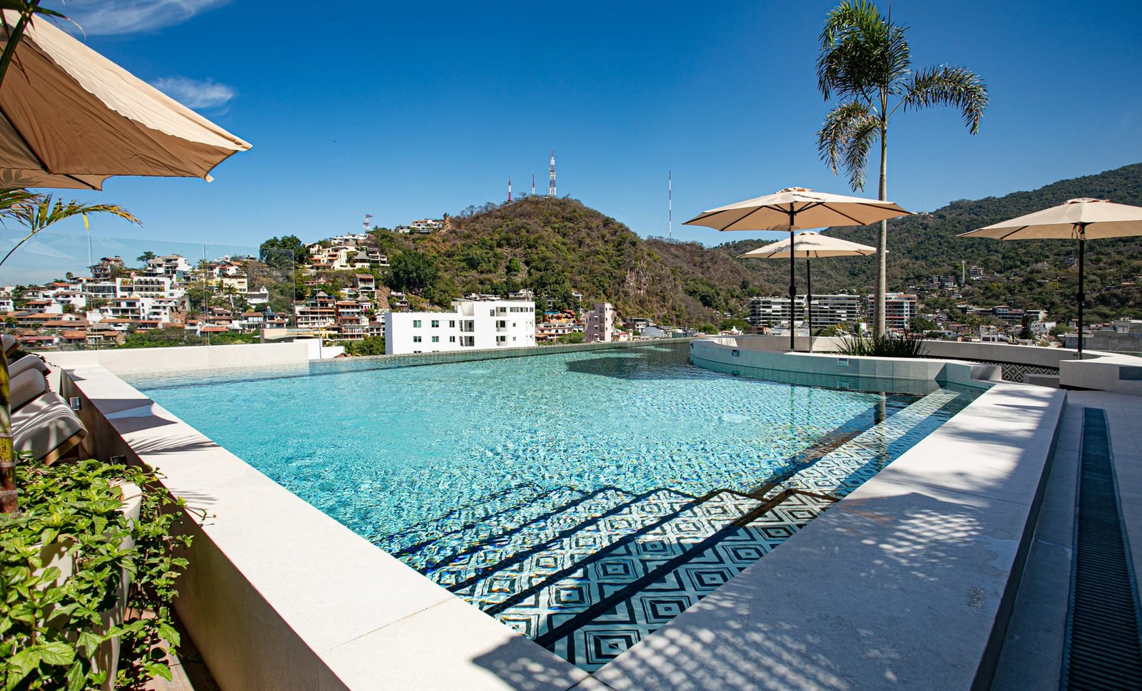The rooftop infinity pool at D’Vine Luxury Residences